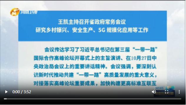 王凯主持召开省政府常务会议 研究乡村振兴、安全生产、5G 规模化应用等工作