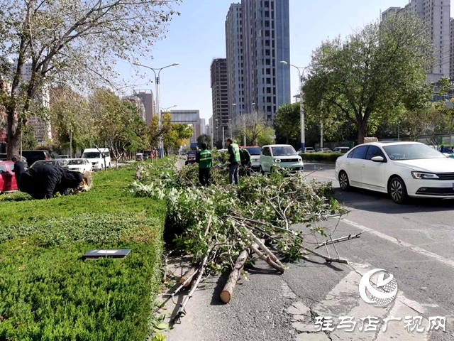 市智慧城市服务中心消除安全隐患 保障城市安全运行