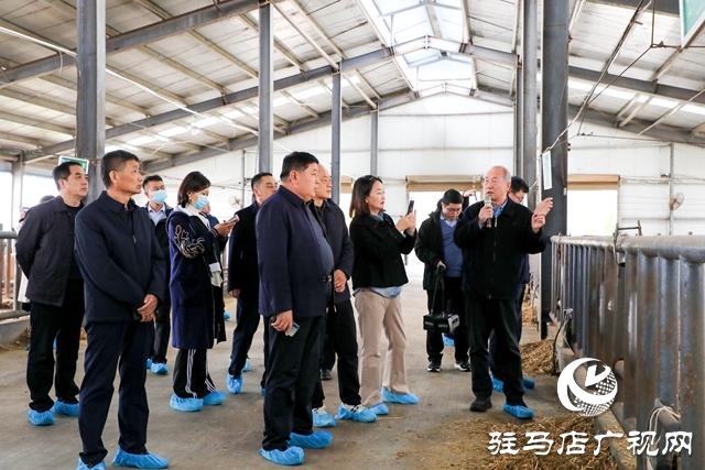 吉日嘎拉图到泌阳县调研食用菌和夏南牛产业