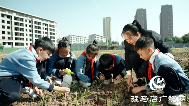 河南省第四批中小学劳动教育特色学校公示 驻马店市第二十八小学榜上有名