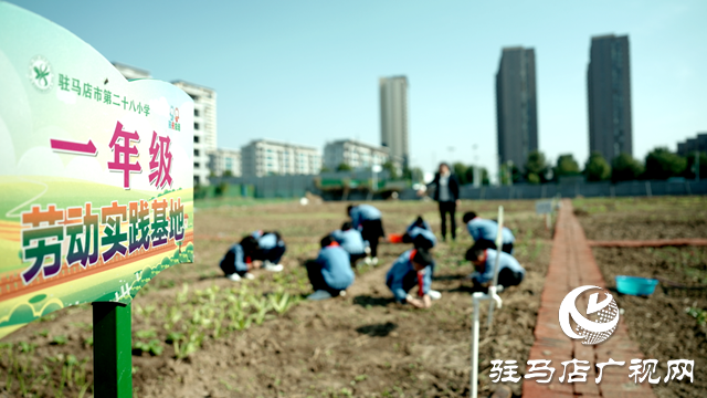 河南省第四批中小学劳动教育特色学校公示 驻马店市第二十八小学榜上有名