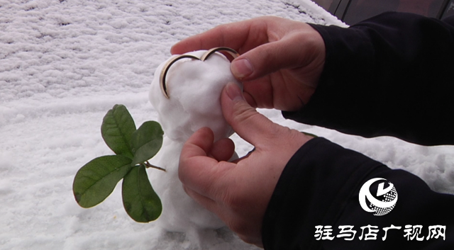 驻马店：飞雪纷纷 美景如画