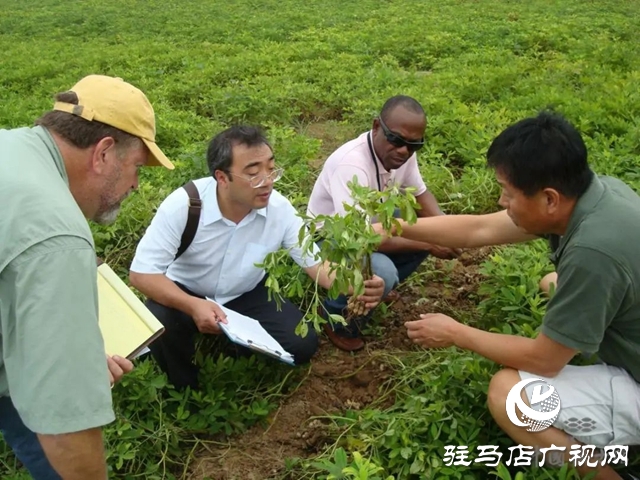 驻马店：汇聚四方英才 锻造澎湃力量