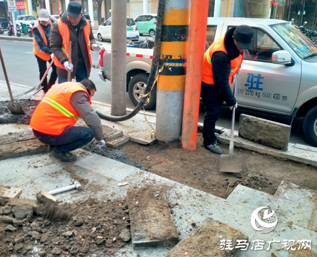 驻马店经济开发区积极开展雪后道路设施维护工作