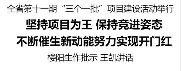 全省第十一期“三个一批”项目建设活动举行
