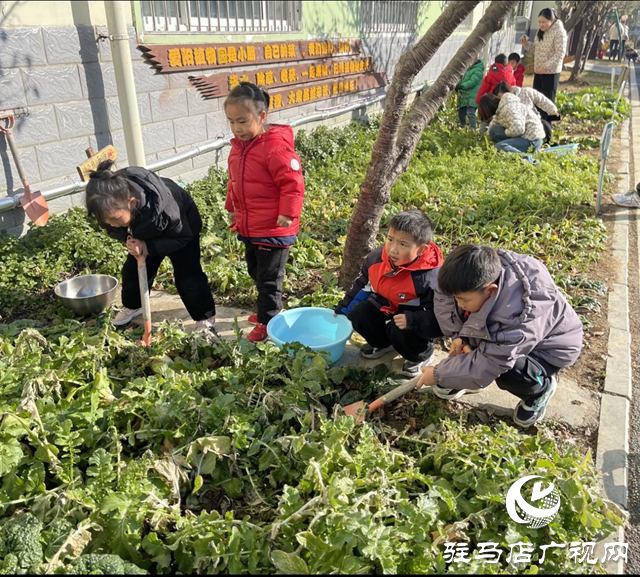 食育有方！驻马店这家幼儿园被评为特色幼儿园