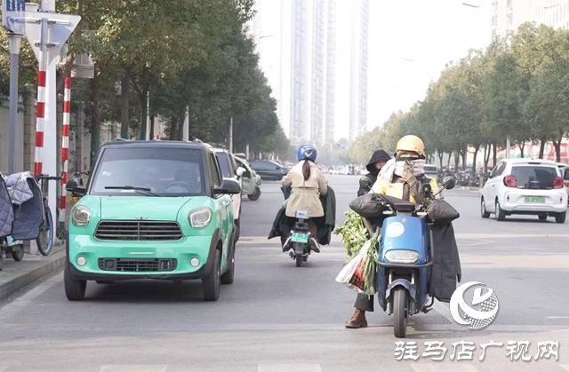 马路“低头族”  安全隐患多