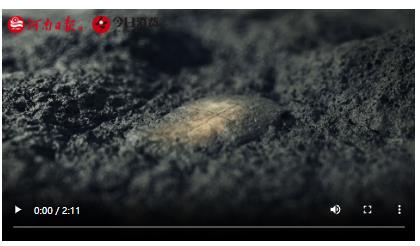 了不起的甲骨文｜刘永革：数字技术赋能甲骨文保护传承
