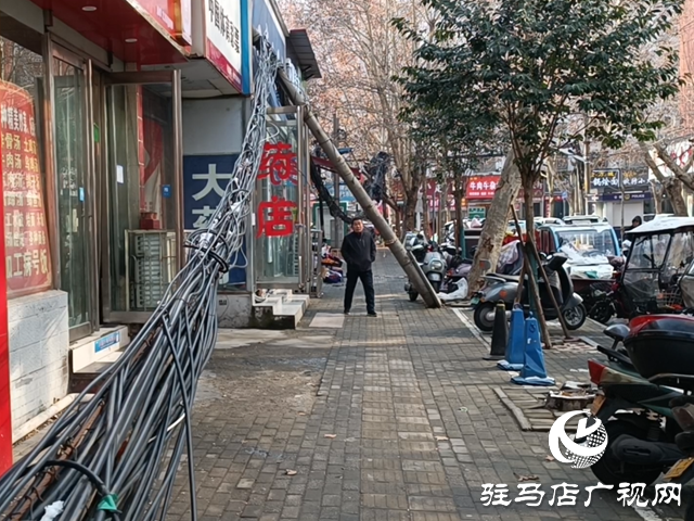 驻马店：大雪致线杆断裂线缆垂落 多部门联动消除隐患