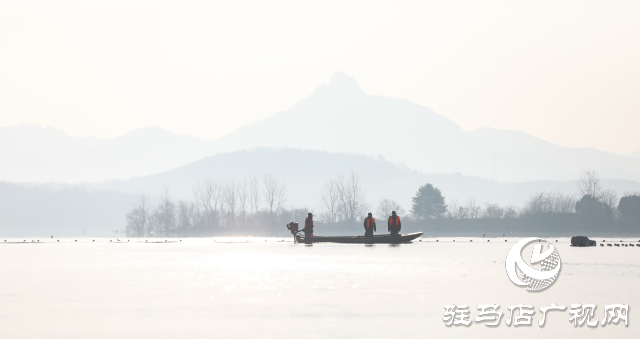 泌阳县：鱼跃人欢冬捕忙 喜迎新春好“丰”景