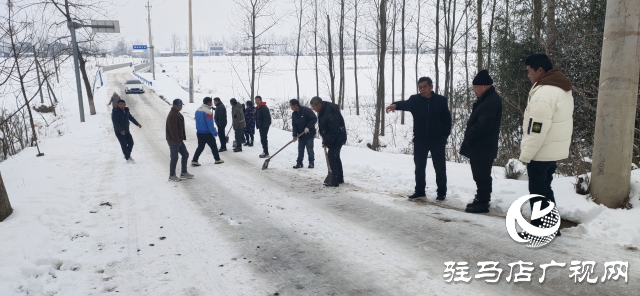 新蔡县顿岗乡：抗雨雪冰冻 保温暖过冬