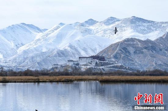 西藏拉萨：雪后布达拉宫美如画