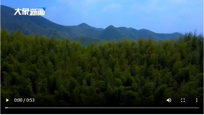 雨水：待一场春雨，迎万物新生