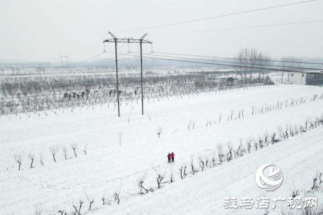 国网平舆县供电公司：踏雪破冰护电网  寒潮逆行保民生