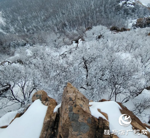 美呆了！罗汉山开启雪凇、雾凇双景齐现模式