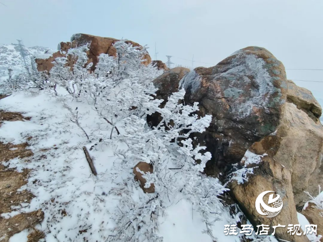 美呆了！罗汉山开启雪凇、雾凇双景齐现模式