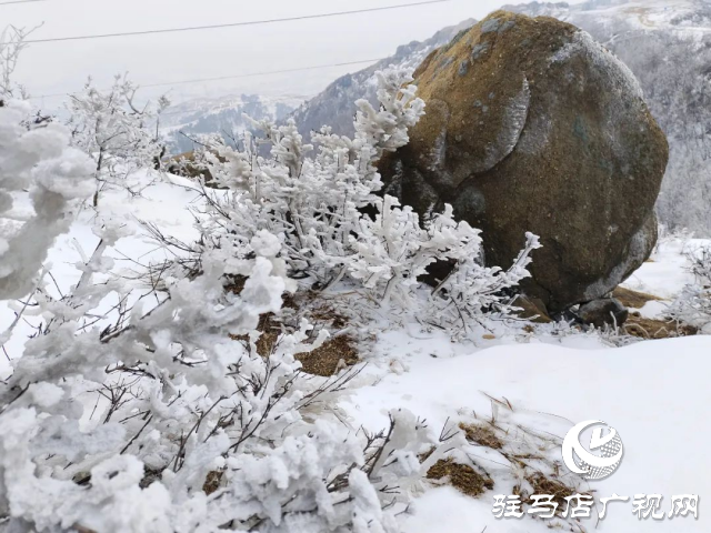 美呆了！罗汉山开启雪凇、雾凇双景齐现模式