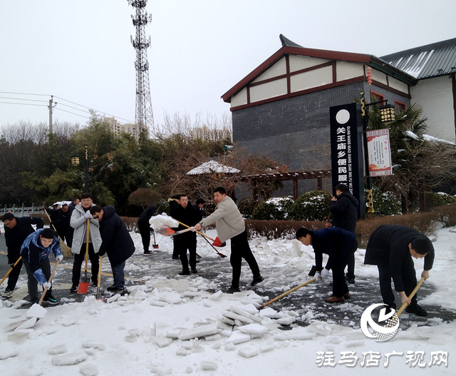 驻马店市关王庙乡开展铲冰除雪志愿服务活动