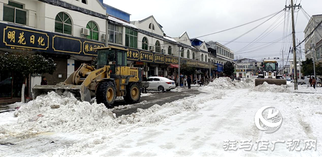 泌阳县下碑寺乡开展雨雪冰冻天气防范应对工作