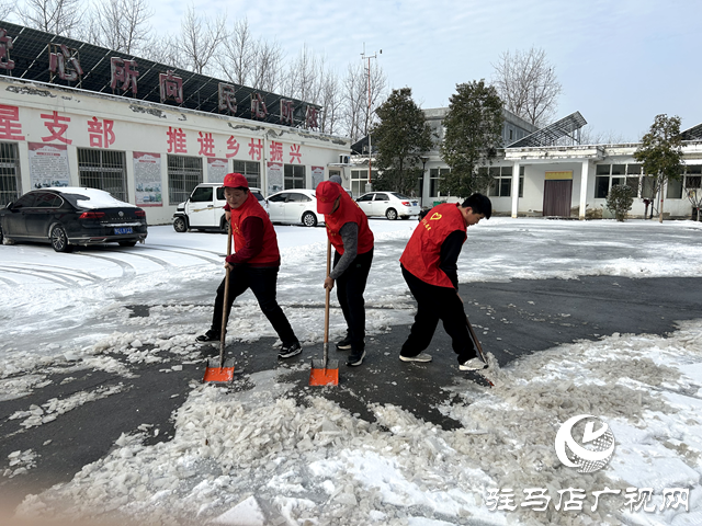 新蔡县顿岗乡团委开展学雷锋做好事扫雪除冰志愿服务活动