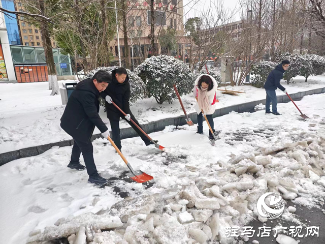 西平县纪委监委开展扫雪除冰志愿服务活动