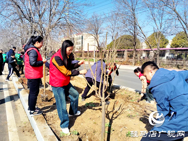 西平县城管局园林绿化中心：春光无限好植树正当时