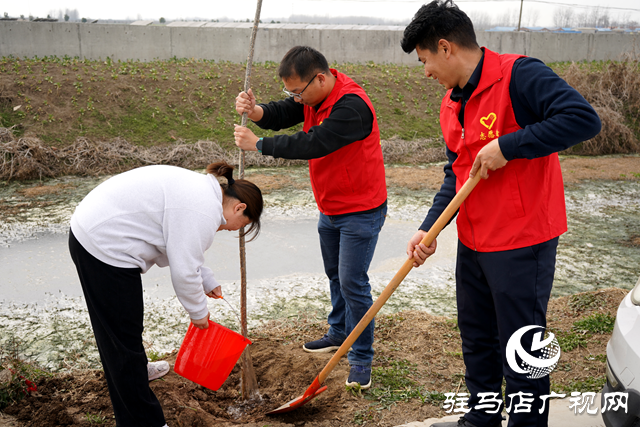 新蔡县河坞乡：植树添新绿 乡村“靓”起来