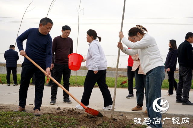 新蔡县河坞乡：植树添新绿 乡村“靓”起来