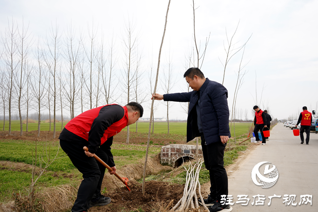 新蔡县河坞乡：植树添新绿 乡村“靓”起来