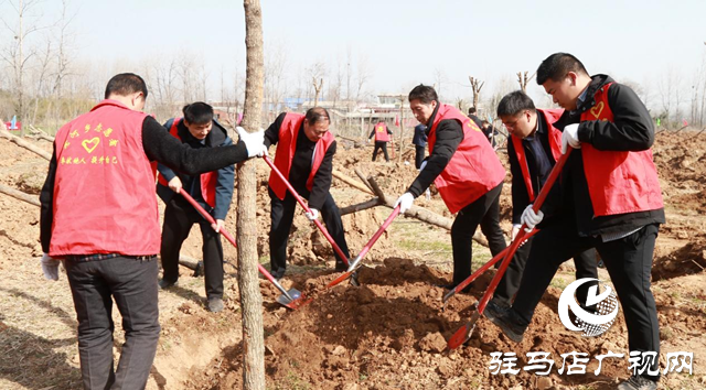 驿城区：植树添新绿 不负好春光