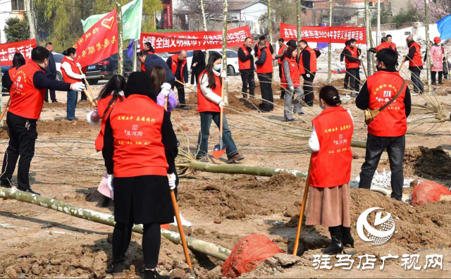 西平县柏城街道开展义务植树造绿活动