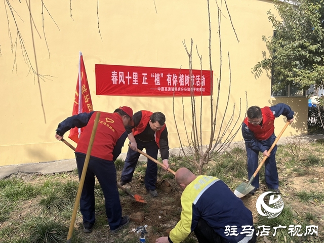  携手植绿护绿 共建美好家园