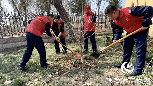  携手植绿护绿 共建美好家园