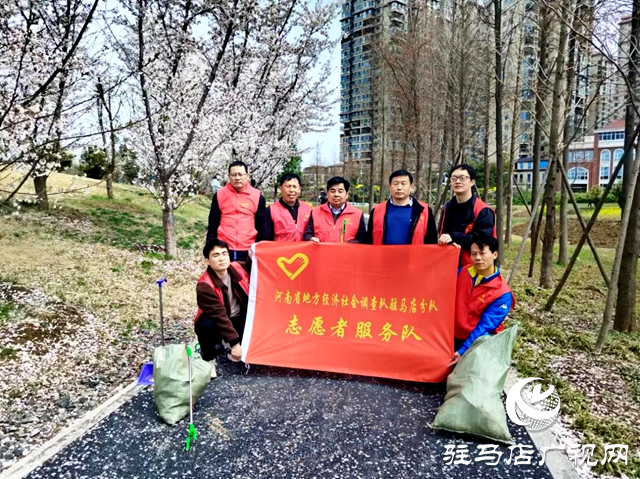 河南省地方经济社会调查队驻马店分队开展第36个爱国卫生月活动