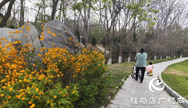 驻马店置地公园：四月景色美如画 吸引游人来打卡