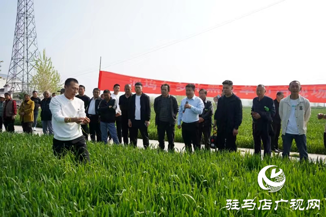 新蔡县河坞乡召开多花黑麦草防治理现场会