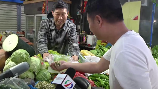 驻马店：新鲜槐花大量上市 市民争相购买尝鲜