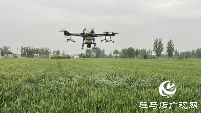 驿城区水屯镇：“一喷三防”正当时 多措并举促增收