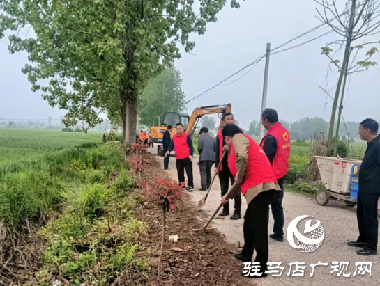 驿城区古城街道：播撒小花籽 美化大环境