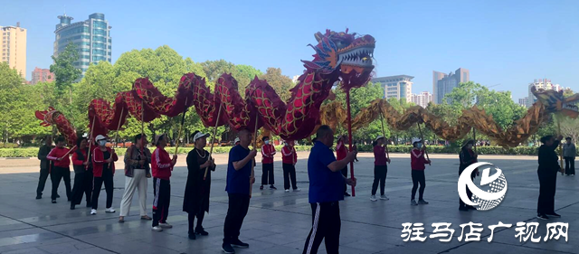 驻马店鞭陀龙协会庆五一展演活动排练火热进行中，传统文化绽放异彩