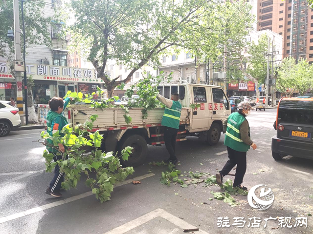 驻马店经济开发区：及时处置树木断枝 构造绿色安全防线