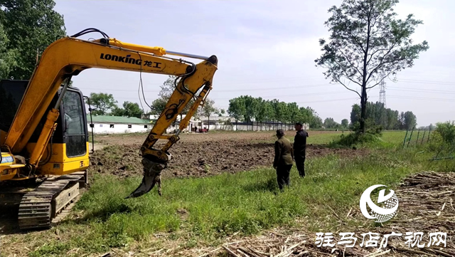 确山县朗陵街道：土地复耕动真格