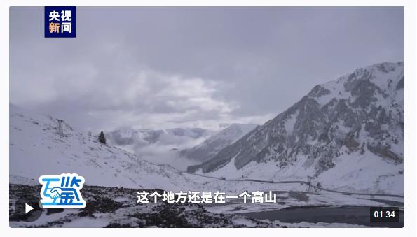 互鉴丨高山流水相知可贵 双向奔赴未来可期