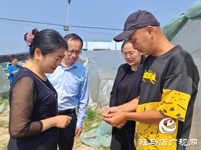 平舆县辛店乡新淇沟村：蚂蚱养殖成“新宠”“蹦”出致富新路径