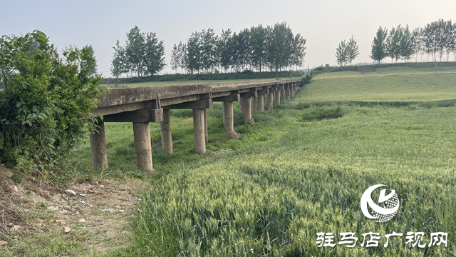 遂平县车站街道：生产桥年久失修 群众期盼麦收能通行