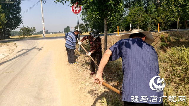 平舆县十字路乡：持续推进人居环境整治，绘就和美宜居新乡村