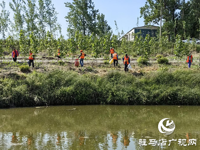 驿城区水屯镇：开展河道清理整治 守护水清岸绿美景