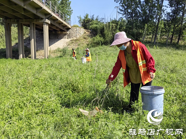 驿城区水屯镇：开展河道清理整治 守护水清岸绿美景