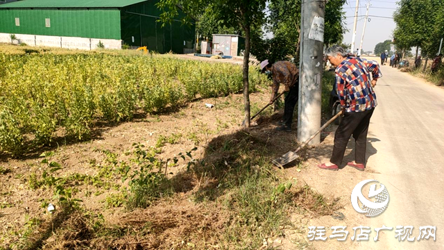 平舆县十字路乡：持续推进人居环境整治，绘就和美宜居新乡村