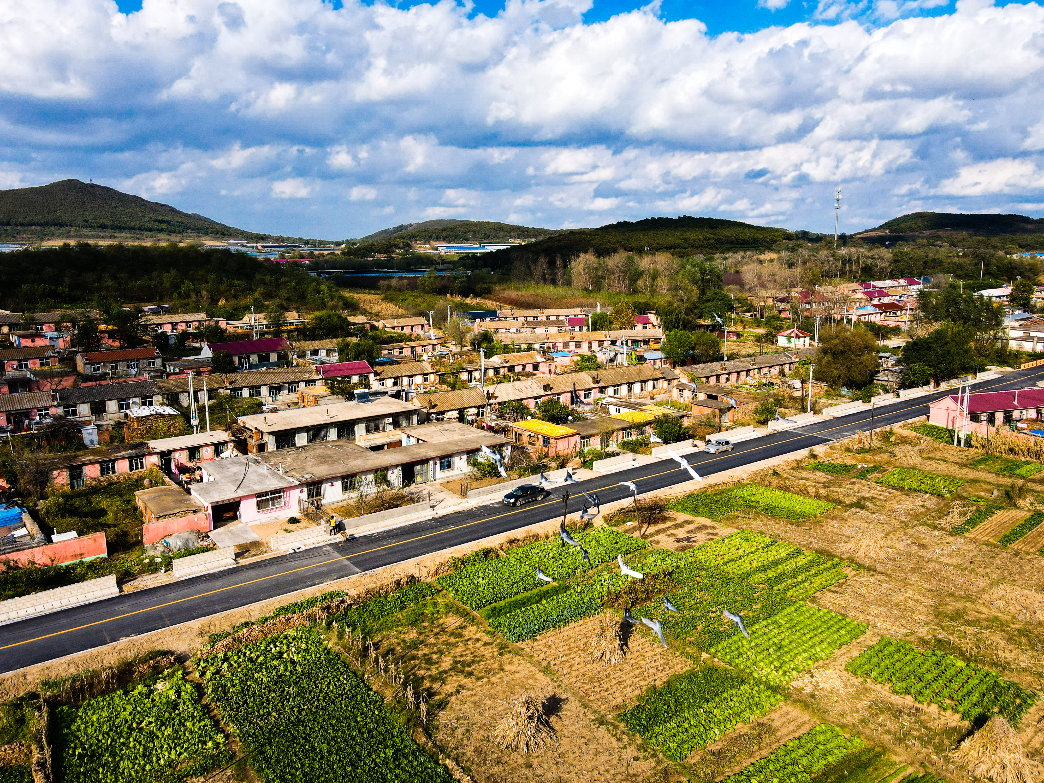 全国“十大最美农村路”发布，有你家门口那条路吗？